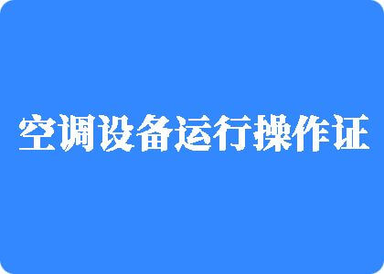 好屌肏日本女人屄视频制冷工证